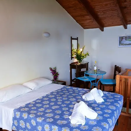Appartement Golden Nests