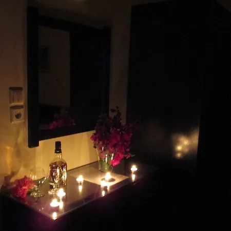 Golden Nests Lejlighed *